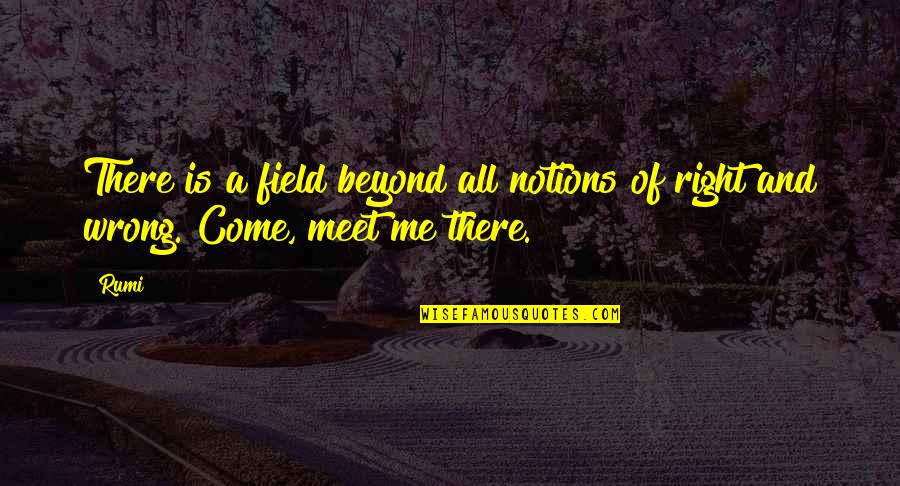 Beyond Right And Wrong Quotes By Rumi: There is a field beyond all notions of
