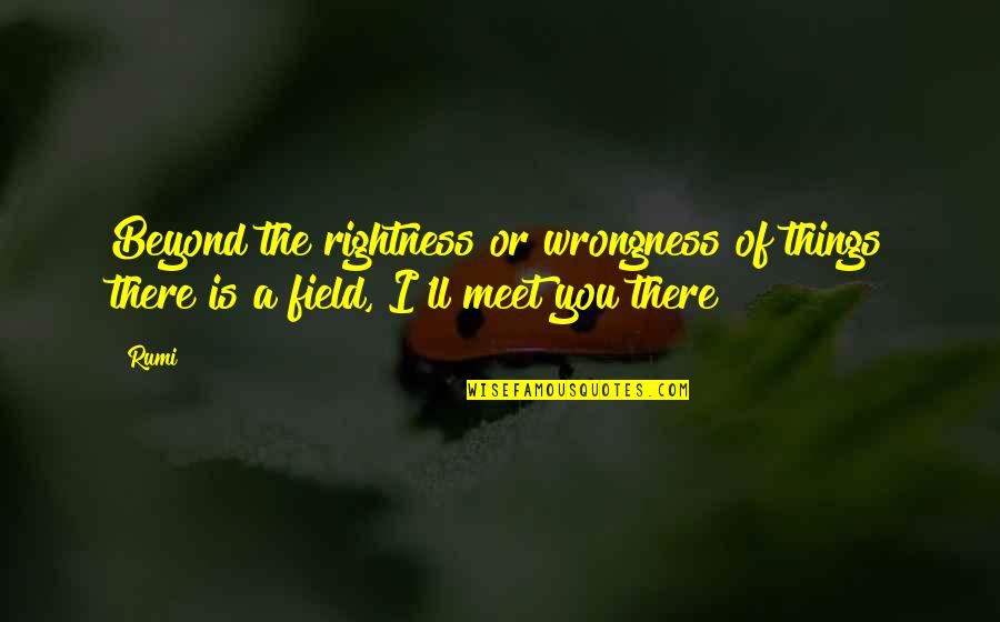 Beyond You Quotes By Rumi: Beyond the rightness or wrongness of things there