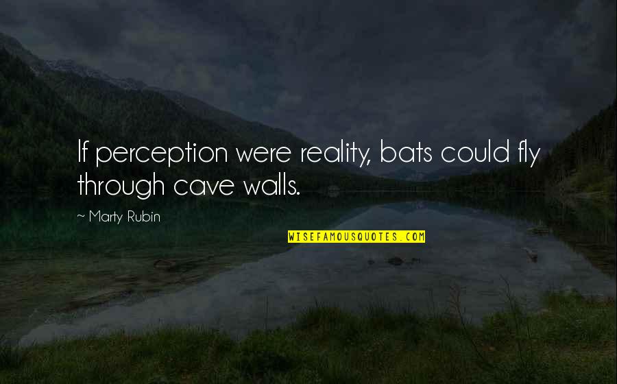 Beyonds Diary Quotes By Marty Rubin: If perception were reality, bats could fly through