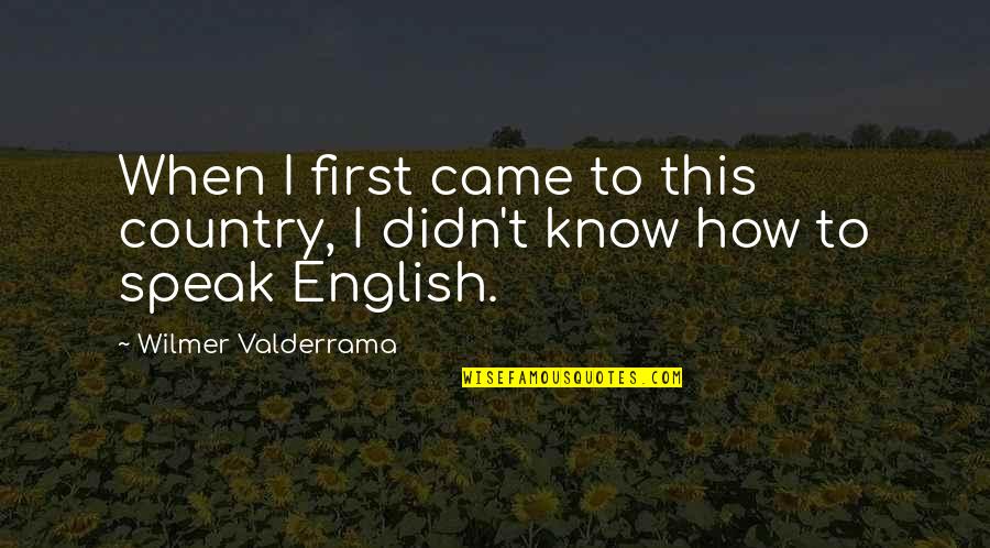 Bezel Quotes By Wilmer Valderrama: When I first came to this country, I