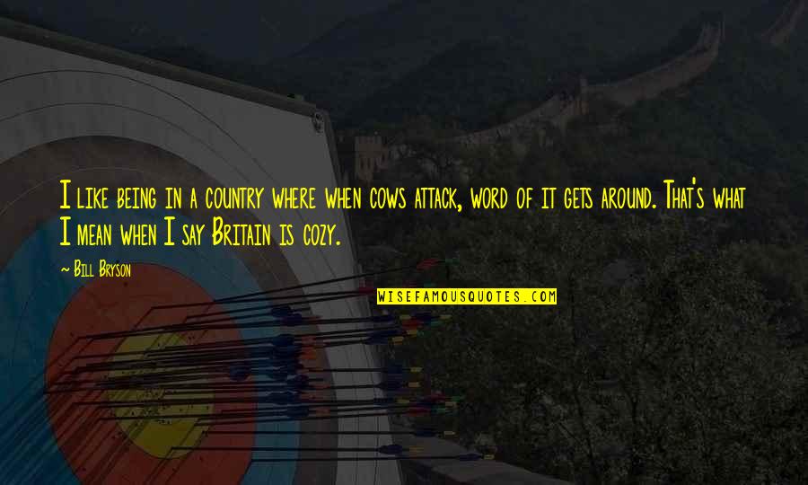 Beziehungen Quotes By Bill Bryson: I like being in a country where when