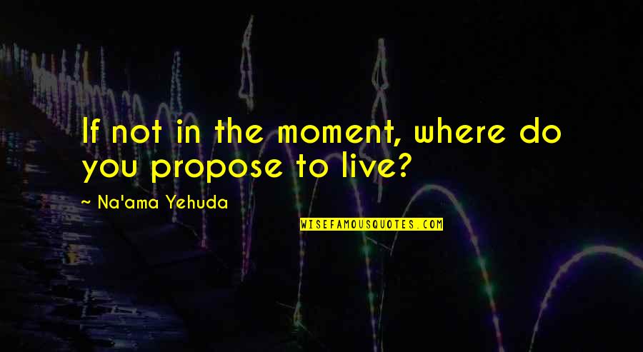 Bezoeker Synoniem Quotes By Na'ama Yehuda: If not in the moment, where do you