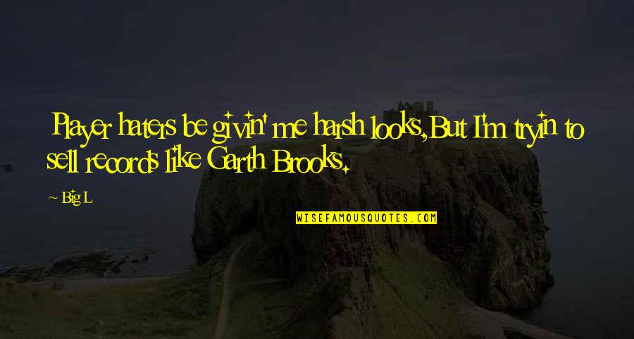 Bezpieczny Port Quotes By Big L: Player haters be givin' me harsh looks,But I'm