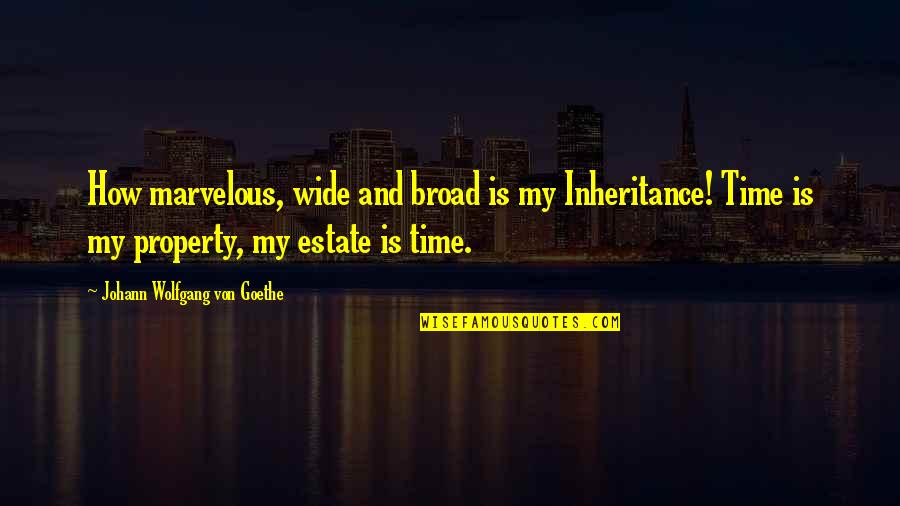 Bf4 Irish Quotes By Johann Wolfgang Von Goethe: How marvelous, wide and broad is my Inheritance!