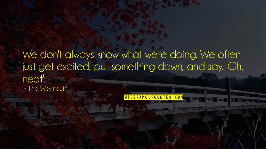 Bfg 50 Quotes By Tina Weymouth: We don't always know what we're doing. We Bfg 50 Quotes By Tina Weymouth: We don't always know what we're doing. We