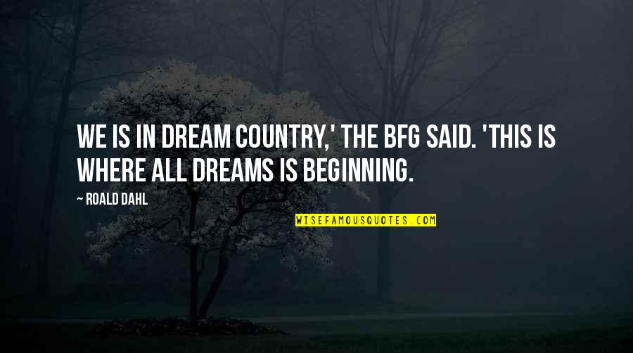 Bfg Quotes By Roald Dahl: We is in Dream Country,' the BFG said.