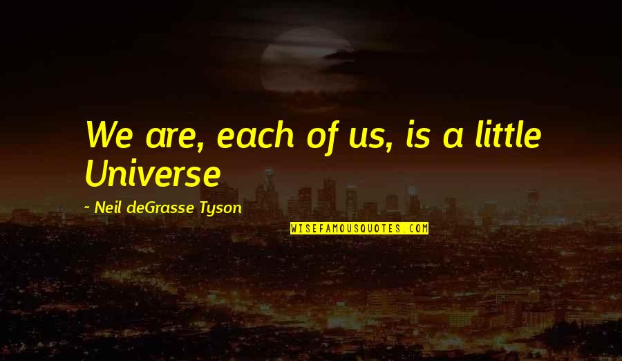 Bhaer Quotes By Neil DeGrasse Tyson: We are, each of us, is a little Bhaer Quotes By Neil DeGrasse Tyson: We are, each of us, is a little
