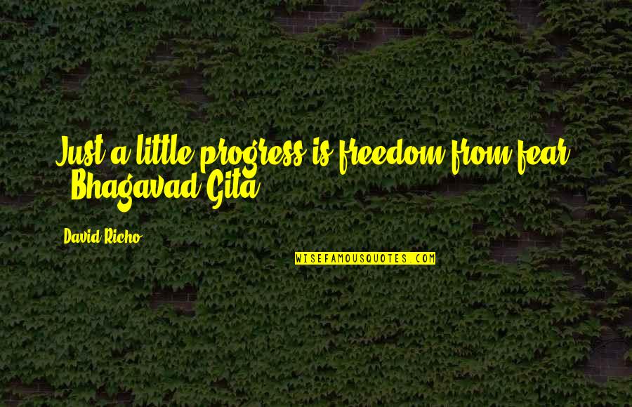 Bhagavad Gita Best Quotes By David Richo: Just a little progress is freedom from fear.