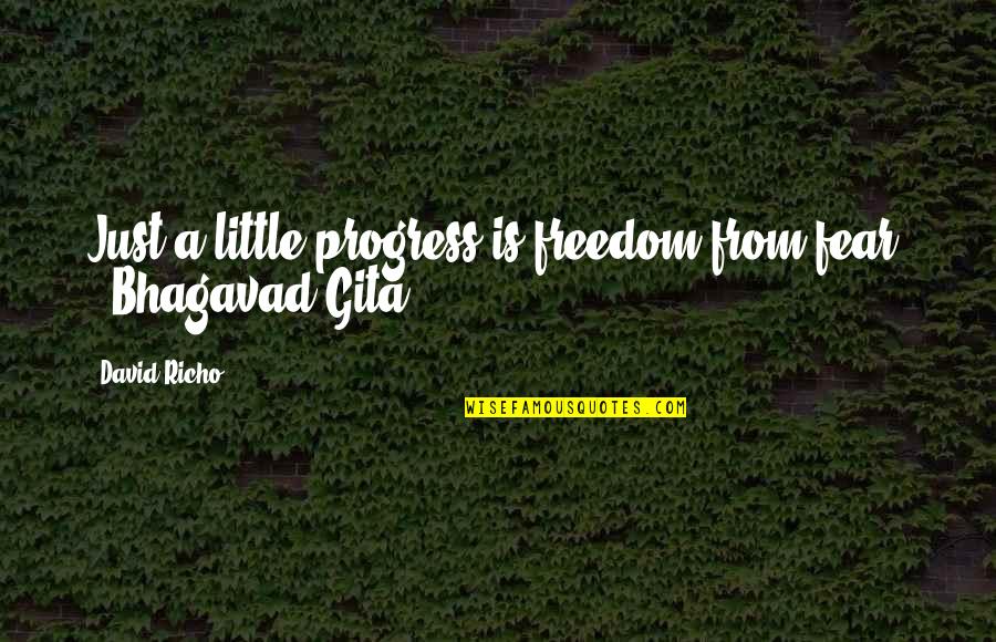 Bhagavad Gita Quotes By David Richo: Just a little progress is freedom from fear.