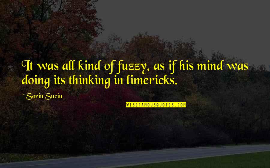 Bhai Dooj Quotes By Sorin Suciu: It was all kind of fuzzy, as if