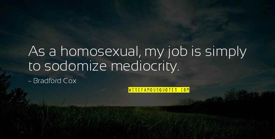 Bhajji Quotes By Bradford Cox: As a homosexual, my job is simply to