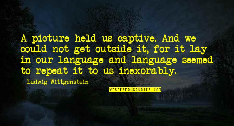 Bhalerao Hospital Quotes By Ludwig Wittgenstein: A picture held us captive. And we could Bhalerao Hospital Quotes By Ludwig Wittgenstein: A picture held us captive. And we could