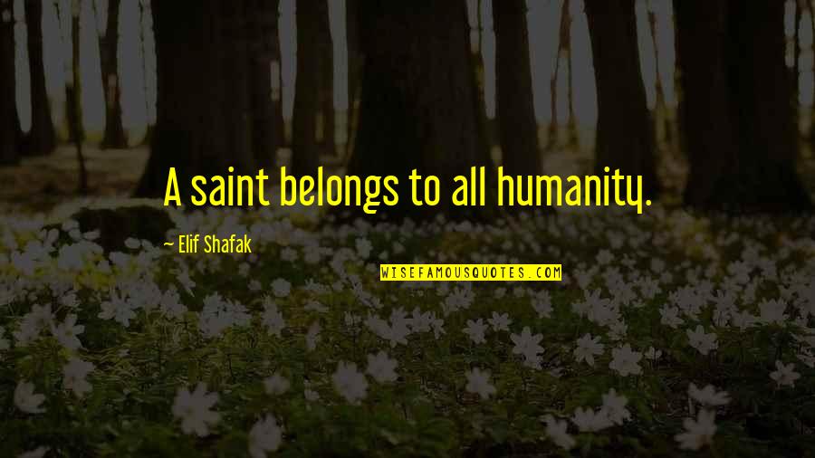 Bhanu Kapil Quotes By Elif Shafak: A saint belongs to all humanity. Bhanu Kapil Quotes By Elif Shafak: A saint belongs to all humanity.