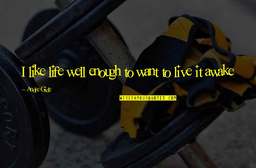 Bharbo Quotes By Andre Gide: I like life well enough to want to