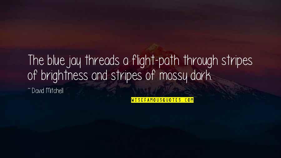 Bhartiya Dak Quotes By David Mitchell: The blue jay threads a flight-path through stripes
