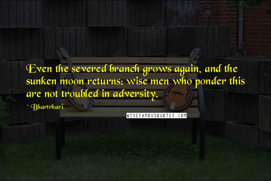 Bhartrhari quotes: Even the severed branch grows again, and the sunken moon returns: wise men who ponder this are not troubled in adversity.