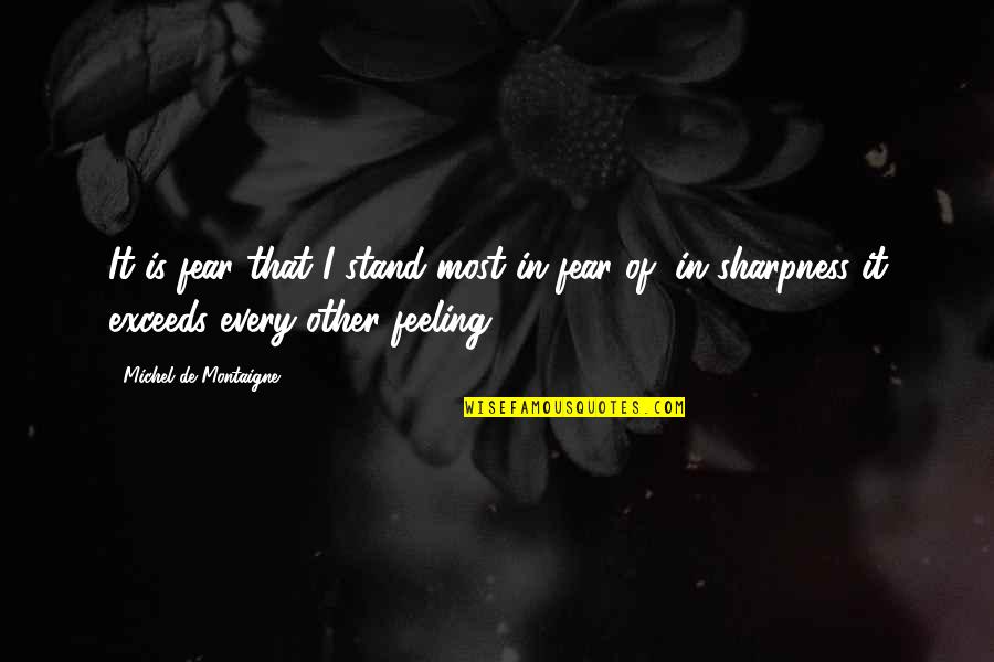 Bhartrihari Niti Quotes By Michel De Montaigne: It is fear that I stand most in