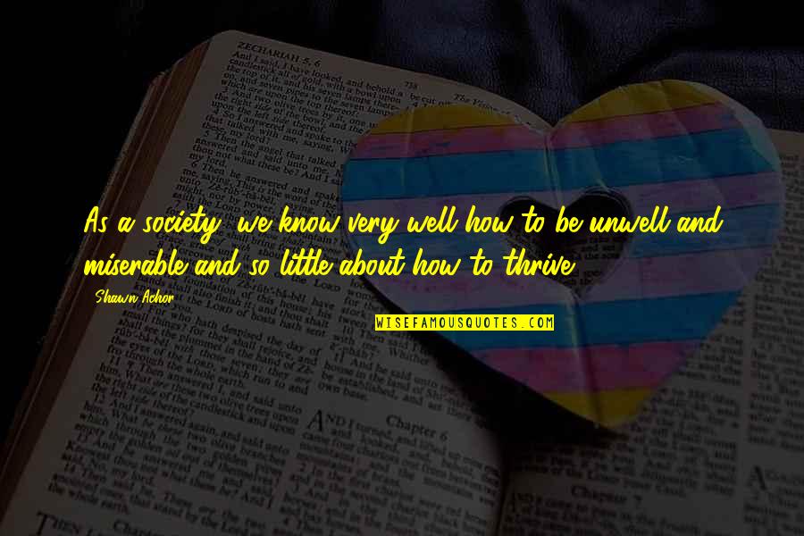 Bhavini Tinu Quotes By Shawn Achor: As a society, we know very well how Bhavini Tinu Quotes By Shawn Achor: As a society, we know very well how