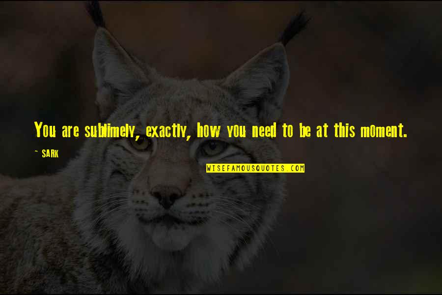 Bhogalli Quotes By SARK: You are sublimely, exactly, how you need to