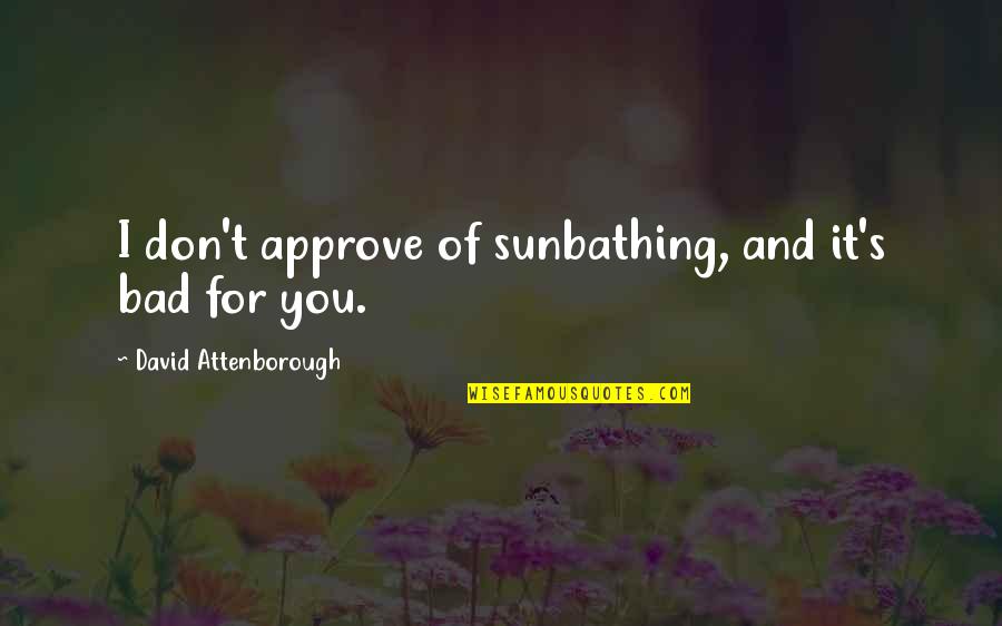 Bhojak Rajya Quotes By David Attenborough: I don't approve of sunbathing, and it's bad