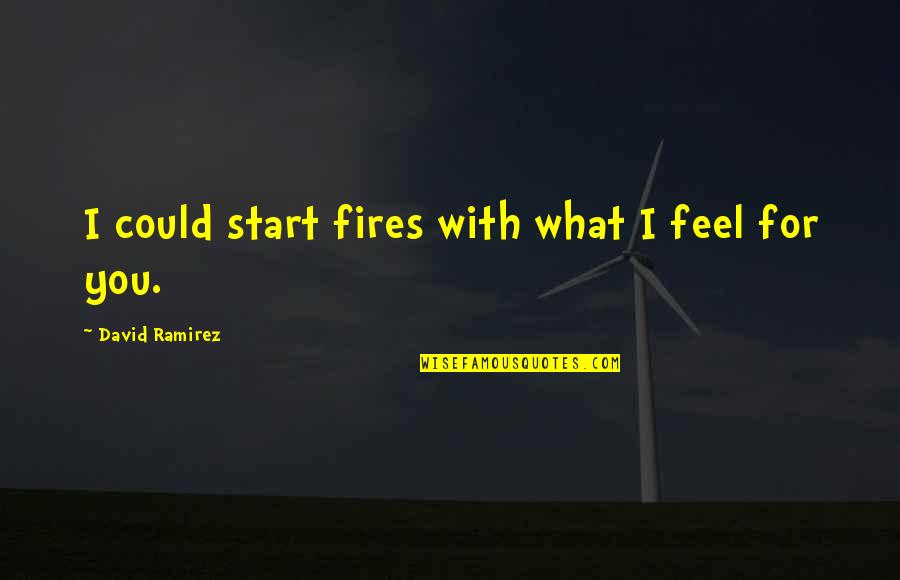Bhojpuri Song Quotes By David Ramirez: I could start fires with what I feel Bhojpuri Song Quotes By David Ramirez: I could start fires with what I feel