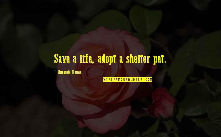 Bhumi Quotes By Amanda Renee: Save a life, adopt a shelter pet.