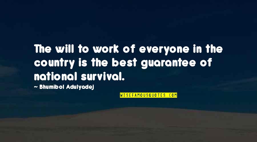 Bhumibol Adulyadej Quotes By Bhumibol Adulyadej: The will to work of everyone in the