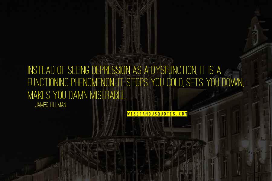 Bhutani Cyberthum Quotes By James Hillman: Instead of seeing depression as a dysfunction, it Bhutani Cyberthum Quotes By James Hillman: Instead of seeing depression as a dysfunction, it