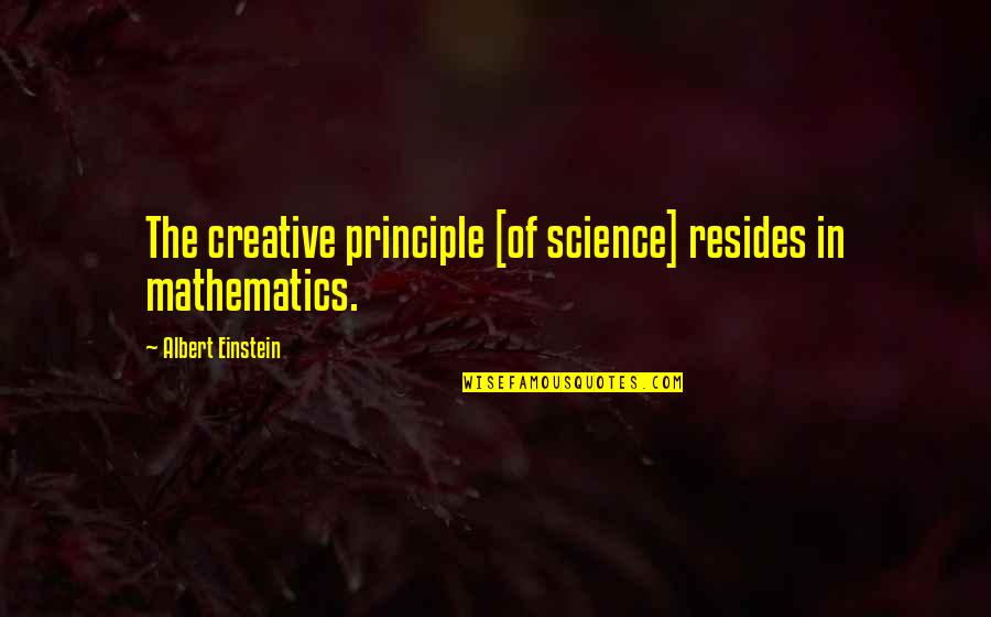 Bhuvan Mgnrega Quotes By Albert Einstein: The creative principle [of science] resides in mathematics.