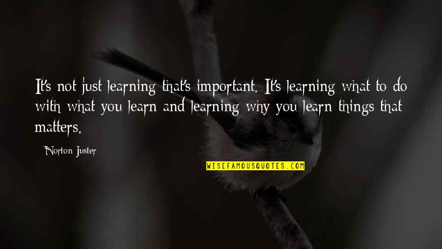 Bianca Del Rio Inspirational Quotes By Norton Juster: It's not just learning that's important. It's learning