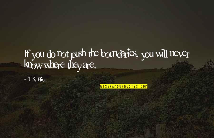 Bianca In Taming Ofthe Shrew Quotes By T. S. Eliot: If you do not push the boundaries, you