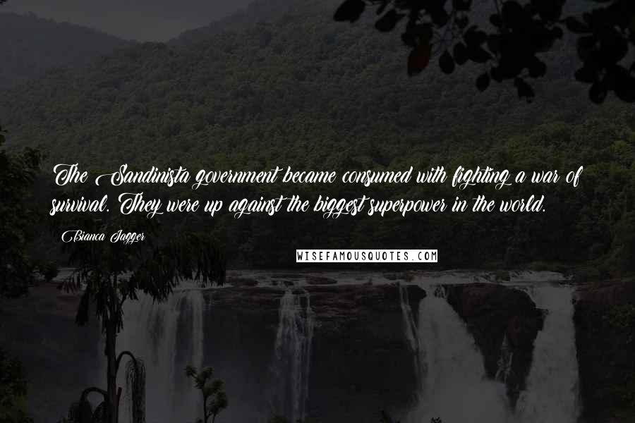 Bianca Jagger quotes: The Sandinista government became consumed with fighting a war of survival. They were up against the biggest superpower in the world.