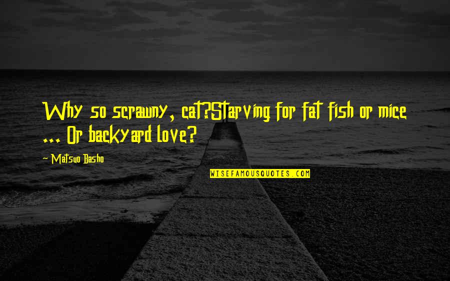 Biancheria Traduzione Quotes By Matsuo Basho: Why so scrawny, cat?Starving for fat fish or