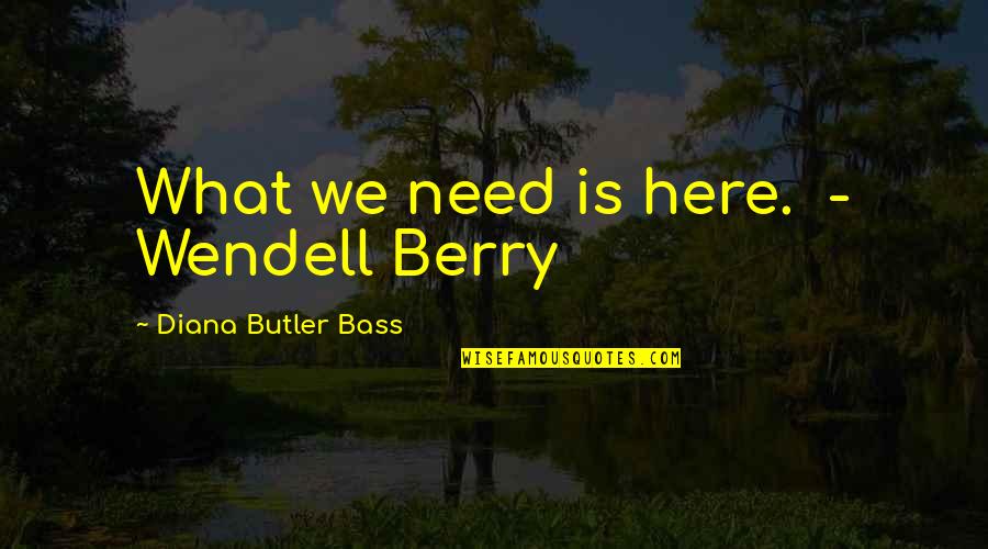Bianglala Tempozan Quotes By Diana Butler Bass: What we need is here. - Wendell Berry