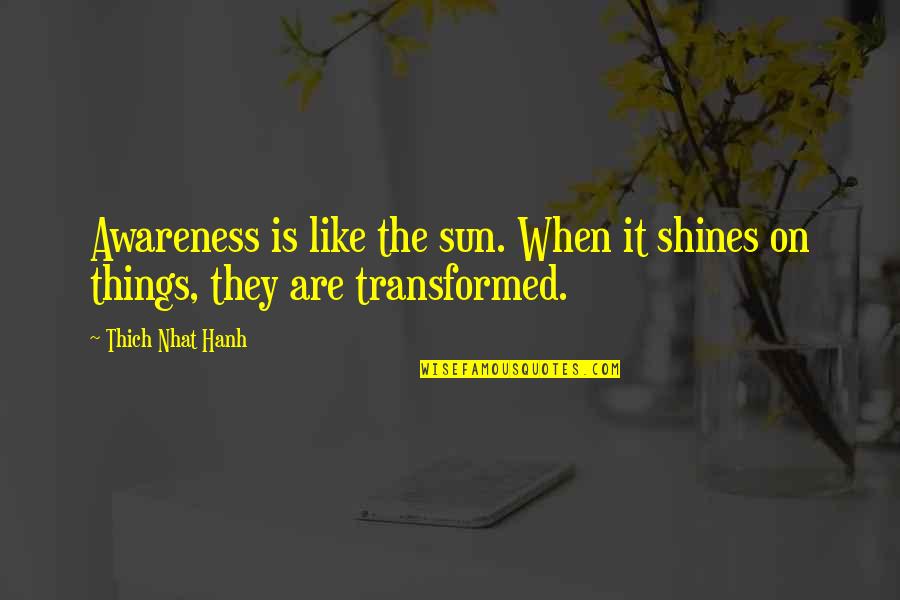 Bianicon Quotes By Thich Nhat Hanh: Awareness is like the sun. When it shines