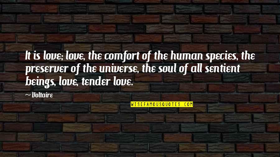 Bibi Fatima Shahadat Quotes By Voltaire: It is love; love, the comfort of the