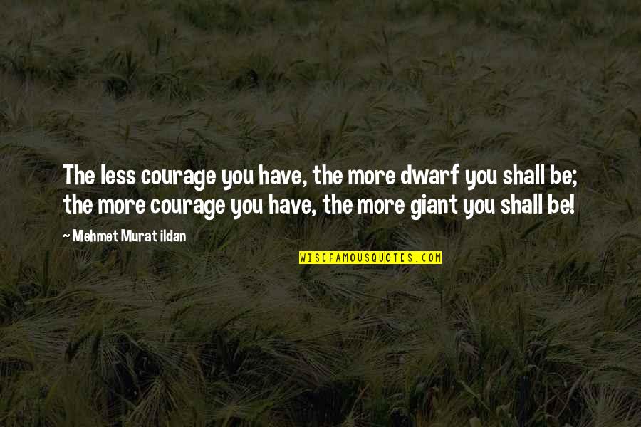 Bible About Family Quotes By Mehmet Murat Ildan: The less courage you have, the more dwarf