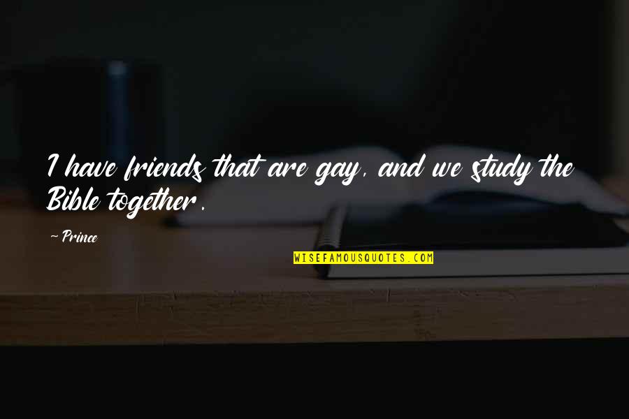 Bible Best Friends Quotes By Prince: I have friends that are gay, and we