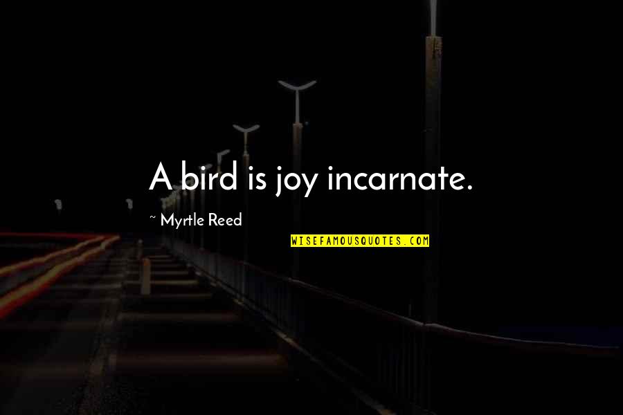 Bible Camels Quotes By Myrtle Reed: A bird is joy incarnate.