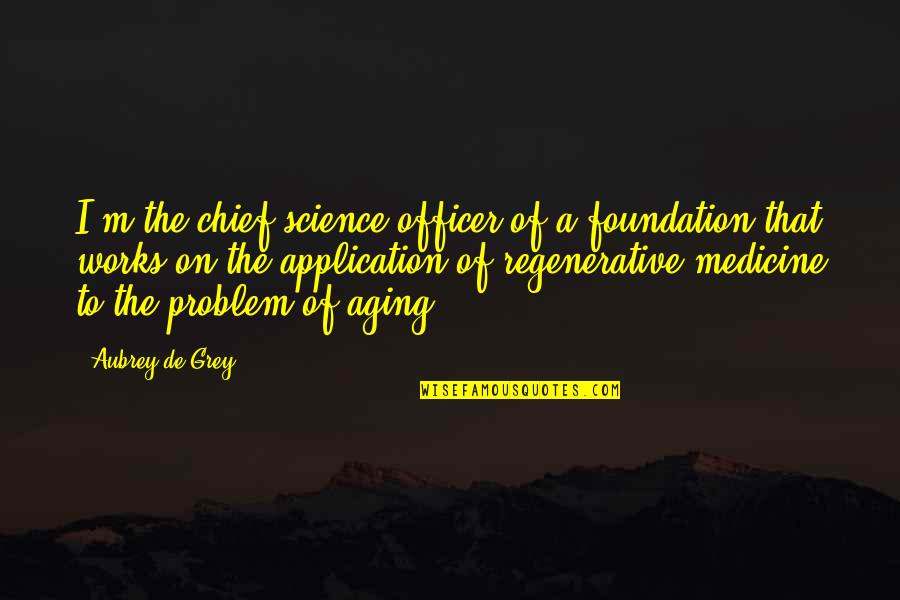 Bible Condemning Others Quotes By Aubrey De Grey: I'm the chief science officer of a foundation