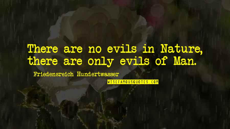 Bible Finances Quotes By Friedensreich Hundertwasser: There are no evils in Nature, there are