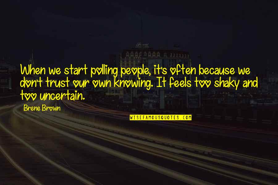 Bible Geocentrism Quotes By Brene Brown: When we start polling people, it's often because