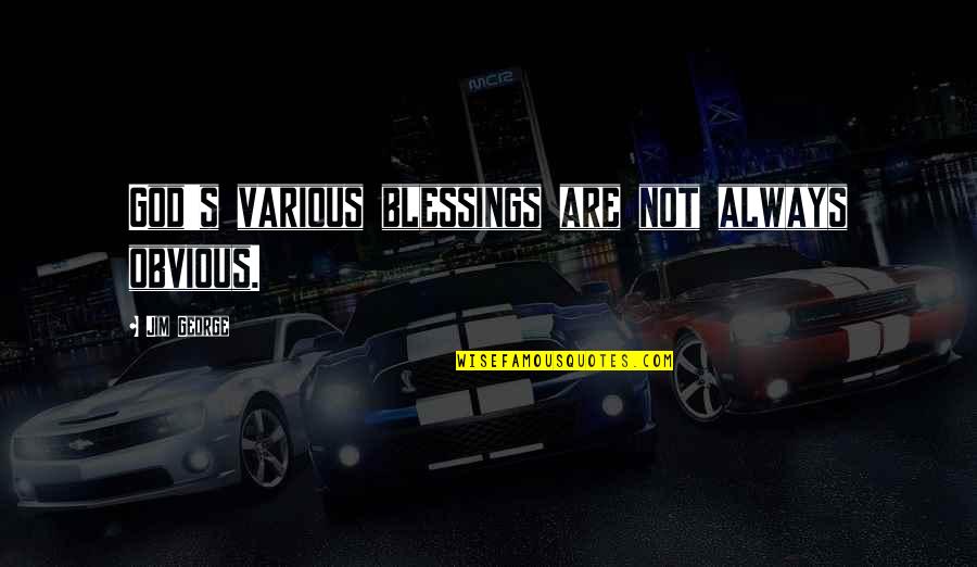 Bible God's Blessings Quotes By Jim George: God's various blessings are not always obvious.