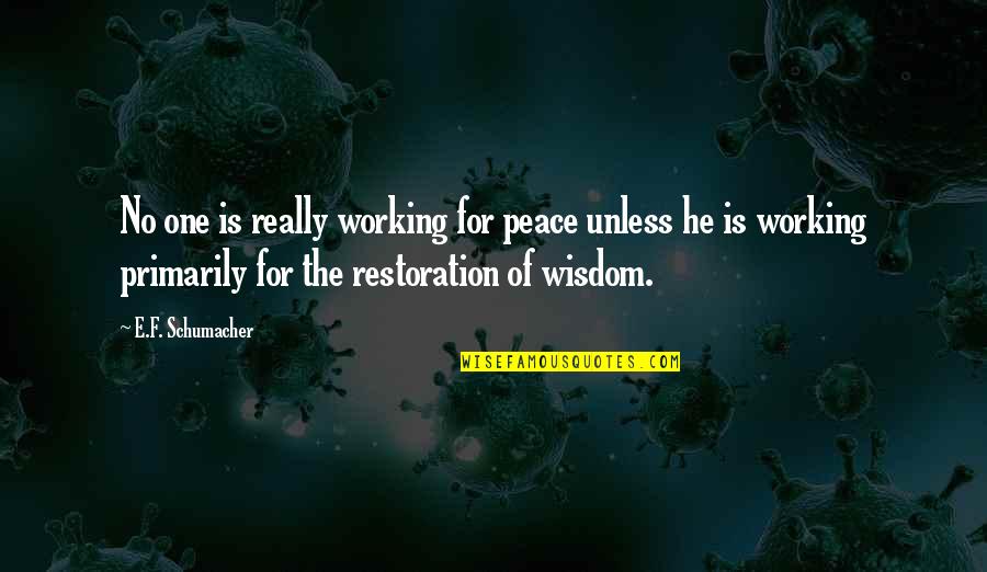 Bible Intimacy Quotes By E.F. Schumacher: No one is really working for peace unless