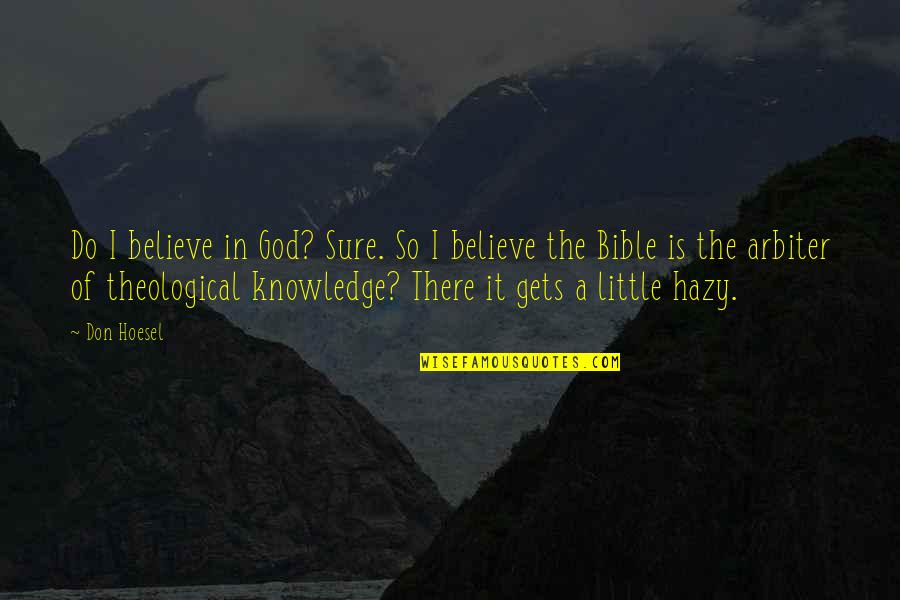 Bible Knowledge Quotes By Don Hoesel: Do I believe in God? Sure. So I