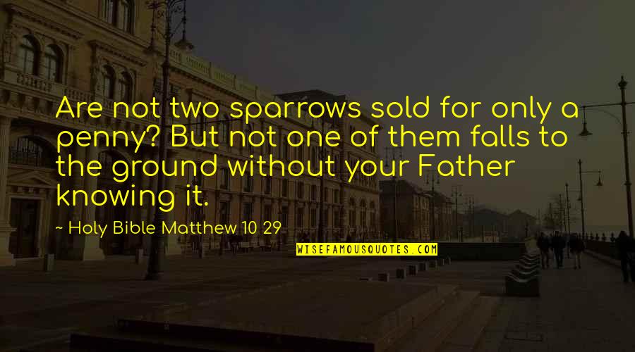 Bible Knowledge Quotes By Holy Bible Matthew 10 29: Are not two sparrows sold for only a