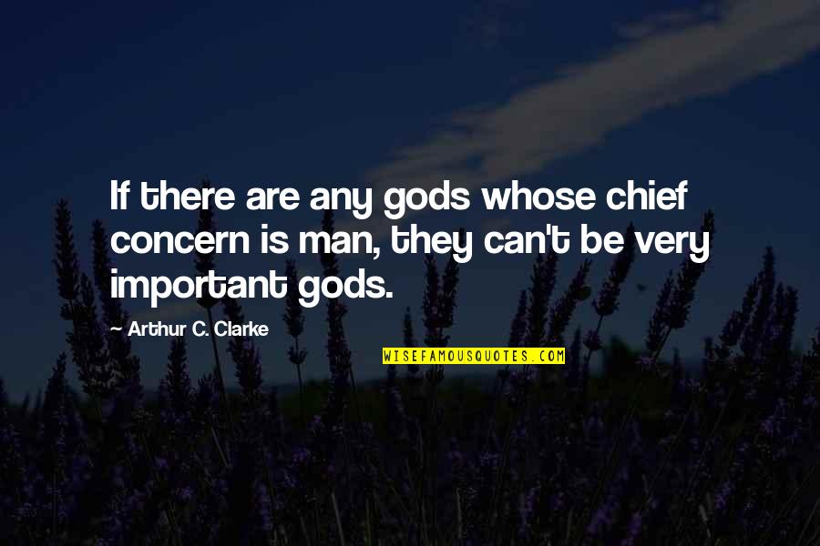 Bible Matrimony Quotes By Arthur C. Clarke: If there are any gods whose chief concern