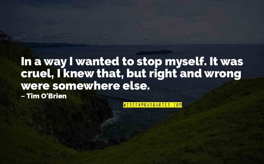 Bible Mistreatment Quotes By Tim O'Brien: In a way I wanted to stop myself.