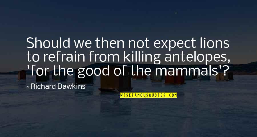 Bible Nazareth Quotes By Richard Dawkins: Should we then not expect lions to refrain