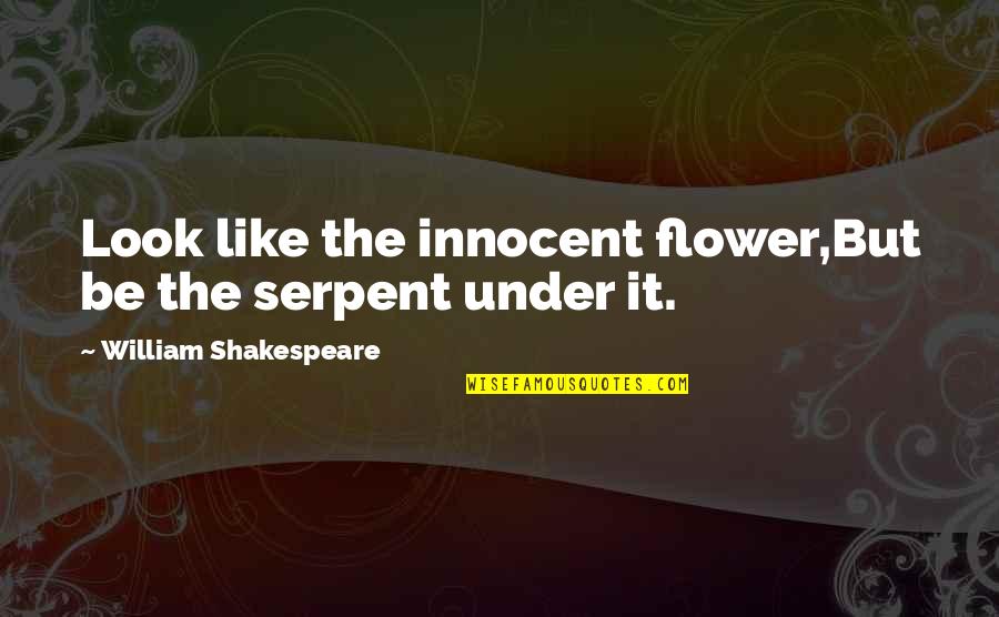 Bible Paranoia Quotes By William Shakespeare: Look like the innocent flower,But be the serpent